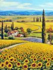 Tuscany Paintings - The Golden Hills of Tuscany by Sung Kim